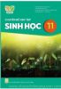 chuyen-de-hoc-tap-sinh-hoc-11-ket-noi-tri-thuc-voi-cuoc-song - ảnh nhỏ  1