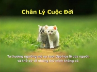 20 điều mà bạn không nên tiếp tục làm với bản thân mình nữa